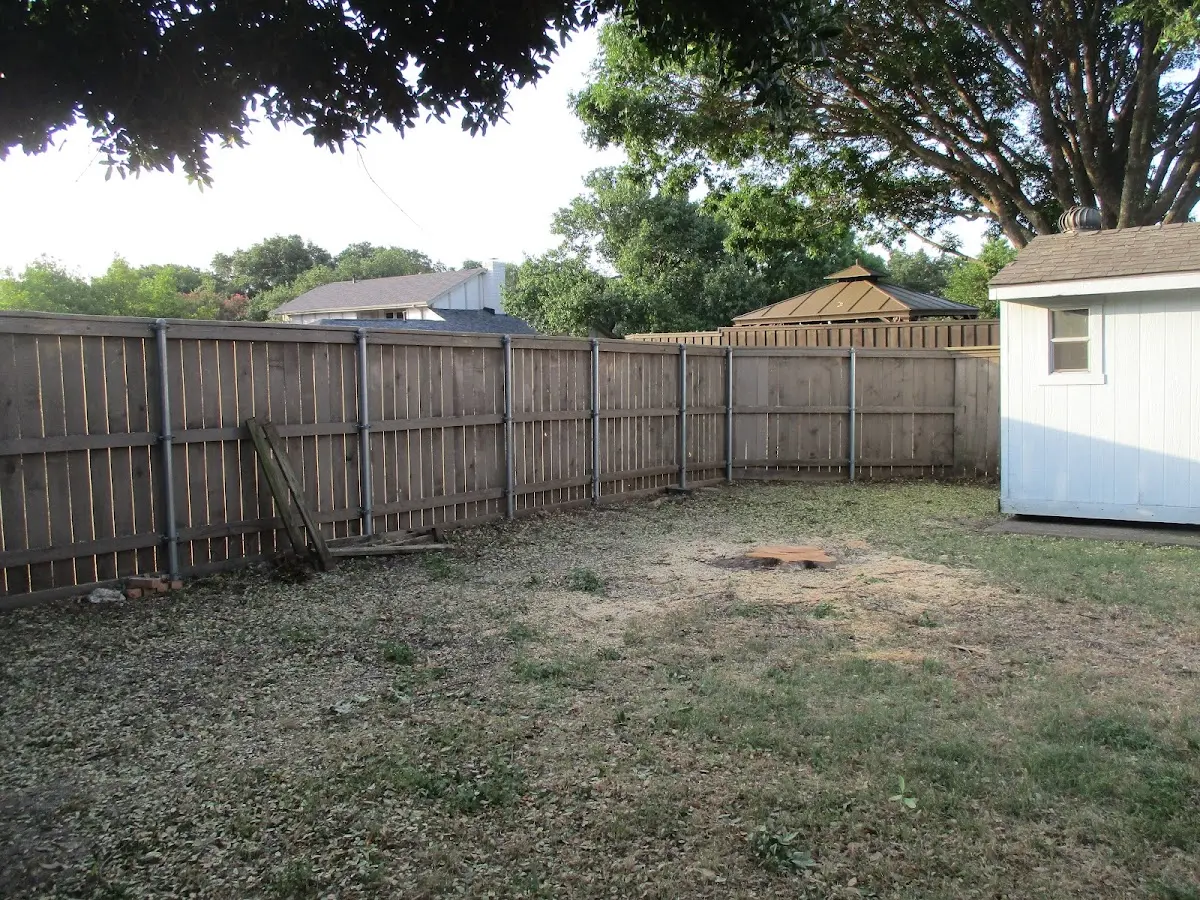 Cleared yard after professional tree removal in Oconomowoc